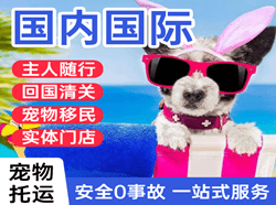 珠海金湾机场空运国际宠物托运 【国
